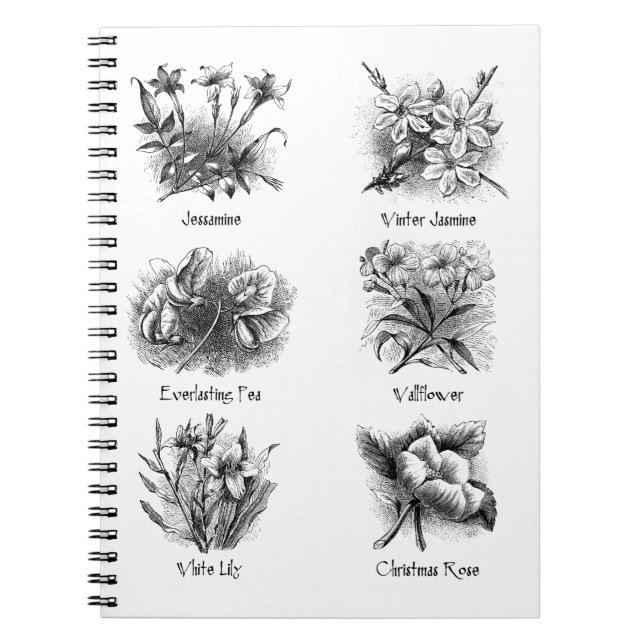 Carnet Illustrations botaniques (Devant)