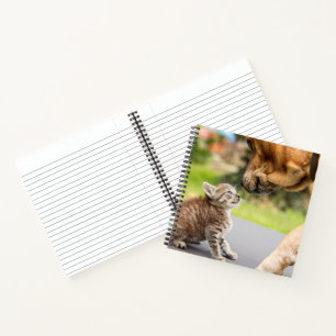 Carnet Images Getty   Chien et chat en amour