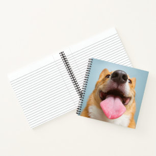 Carnet Images Getty Corgi très heureux