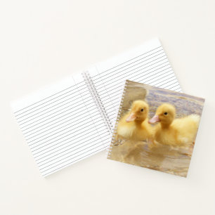 Carnet Images Getty Couteaux jaunes flous