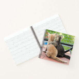 Carnet Images Getty Deux chatons sur un balcon