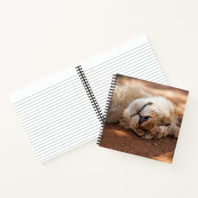 Carnet Images Getty | Lion couché (Intérieur)