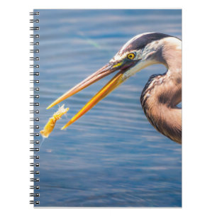 Carnet Impression d'art de faune de Grand Héron bleu chas