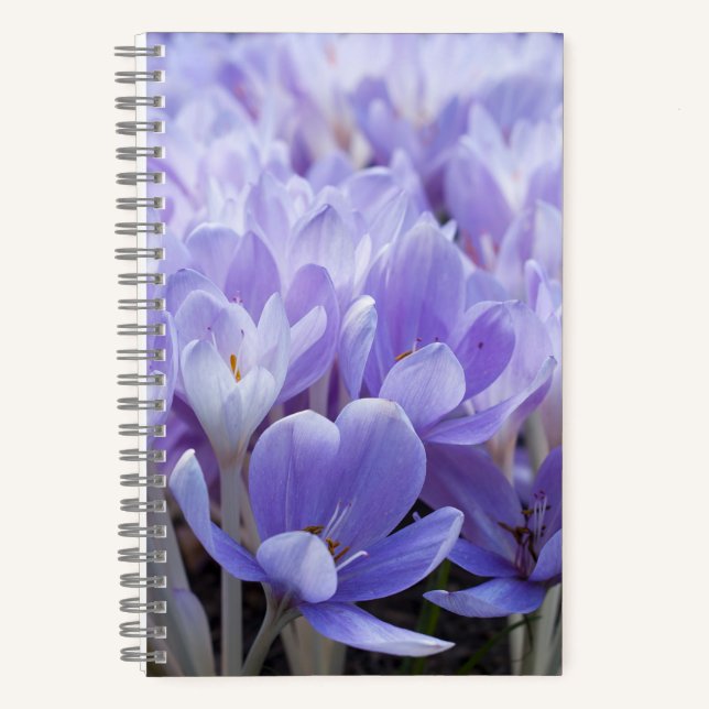 Carnet Impression sur toile de crocus enveloppé (Recto)