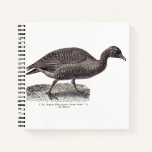 Carnet imprimé aviaire allemand antique Oie sauvage Wildg