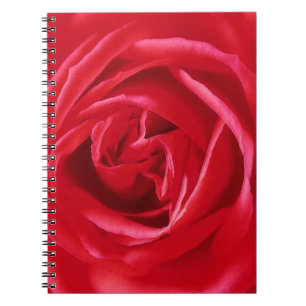 Carnet imprimé rose rouge