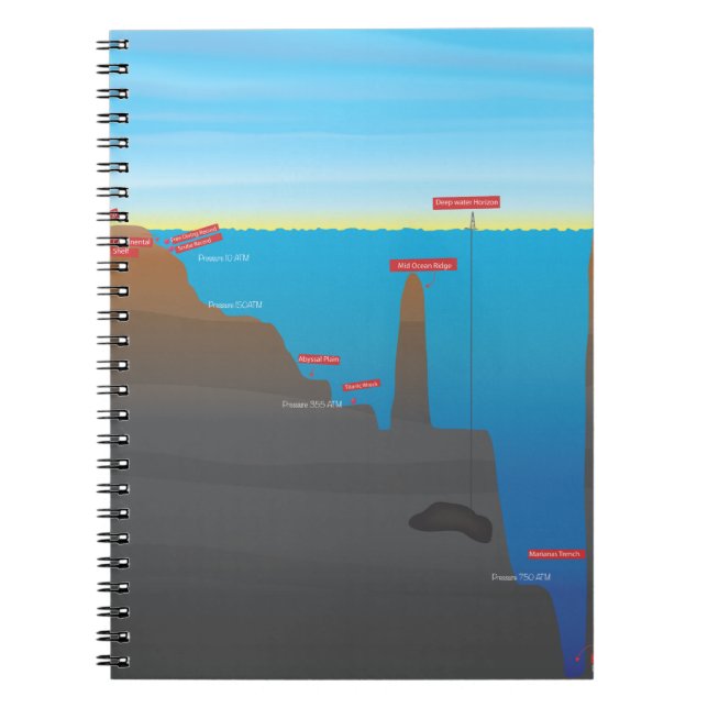 Carnet infographique (Devant)