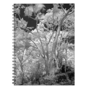 Carnet Infrarouge d'arbres bâtiments et sentiers à Las 2