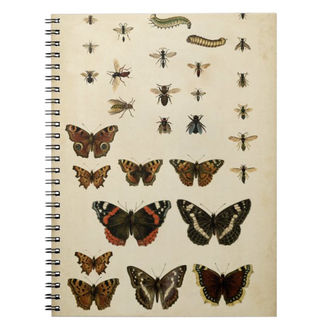 Carnet Insectes de jardin par Vision Studio (Devant)
