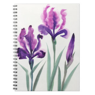 Carnet Iris