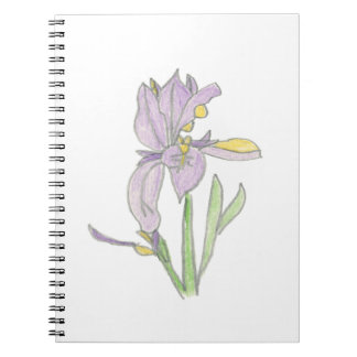Carnet Iris