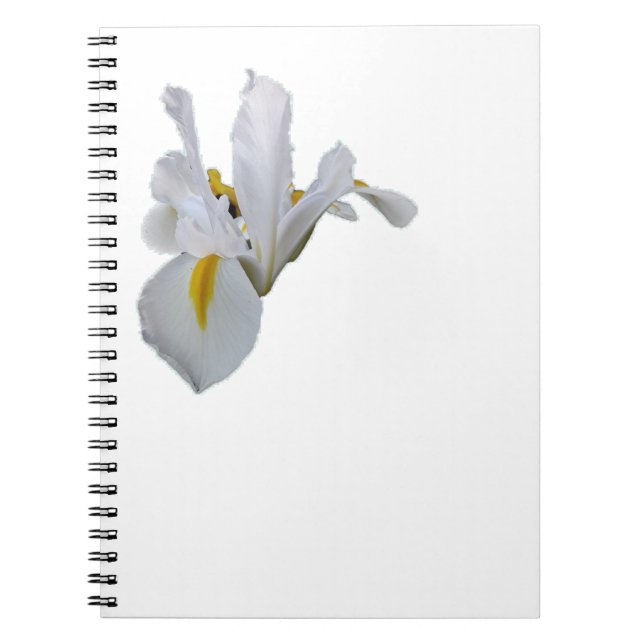 Carnet Iris blanc avec centre jaune (Devant)