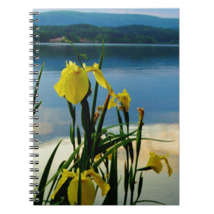 Carnet Iris jaune à Lake Shore
