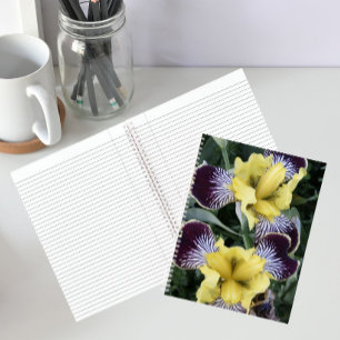 Carnet Iris sans barbe violets et jaunes Floral