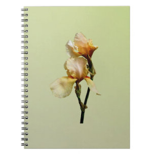 Carnet Irises colorées