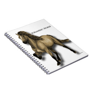 Carnet islandais vintage