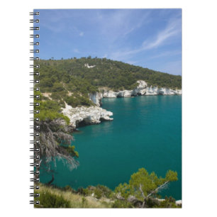 Carnet Italie, Pouilles, Promontoire du Gargano, Testa