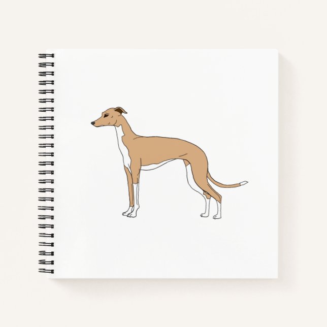 Carnet Italien Greyhound - Blue fawn (Devant)