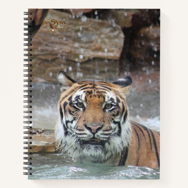 Carnet Jafar (Devant)