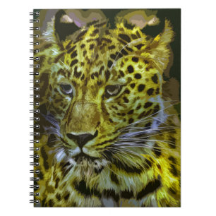 Carnet Jaguar 011