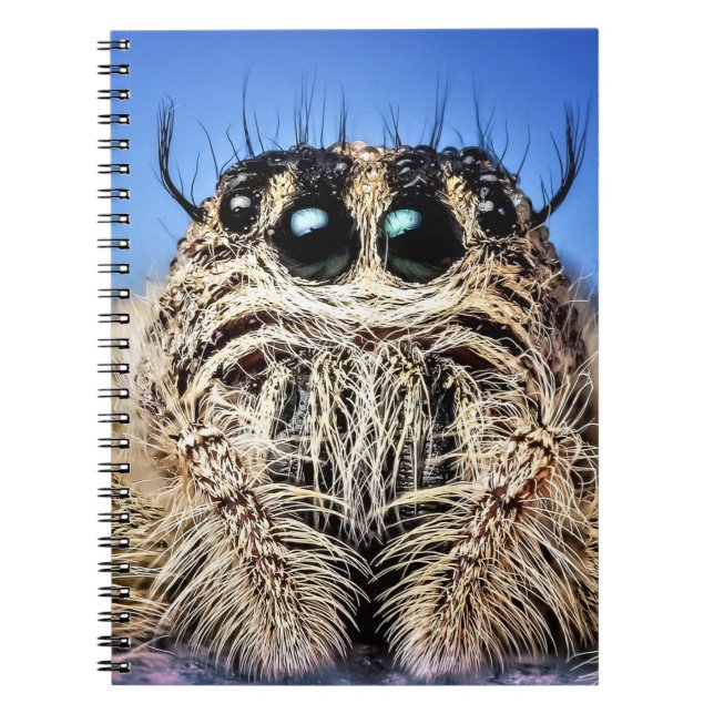 Carnet J'ai les yeux sur toi ! (Devant)