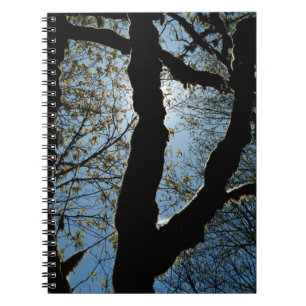 CARNET JAMAIS