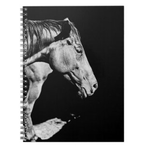 Carnet jambe de cheval