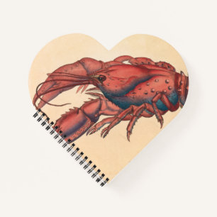 Carnet James Sowerby Homard serbé