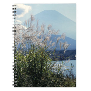 Carnet Japon, Honshu, préfecture de Yamanashi, Fuji-Hakon