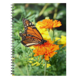 Carnet Jardin aux papillons et aux fleurs de Marigold