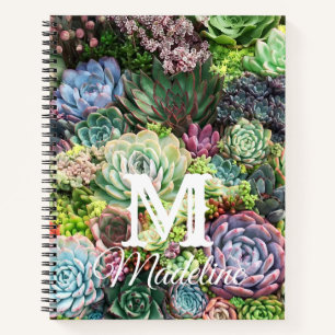 Carnet Jardin coloré Succulent