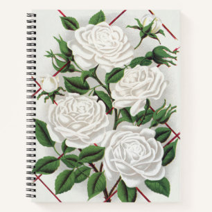 Carnet Jardin de roses grimpantes blanches antiques victo