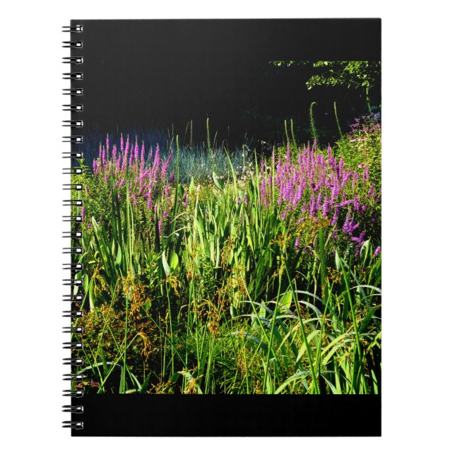 Carnet Jardin des bogues (Devant)
