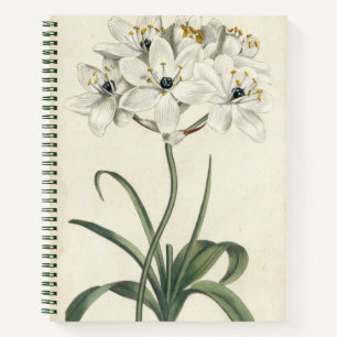 Carnet Jardin d'ivoire