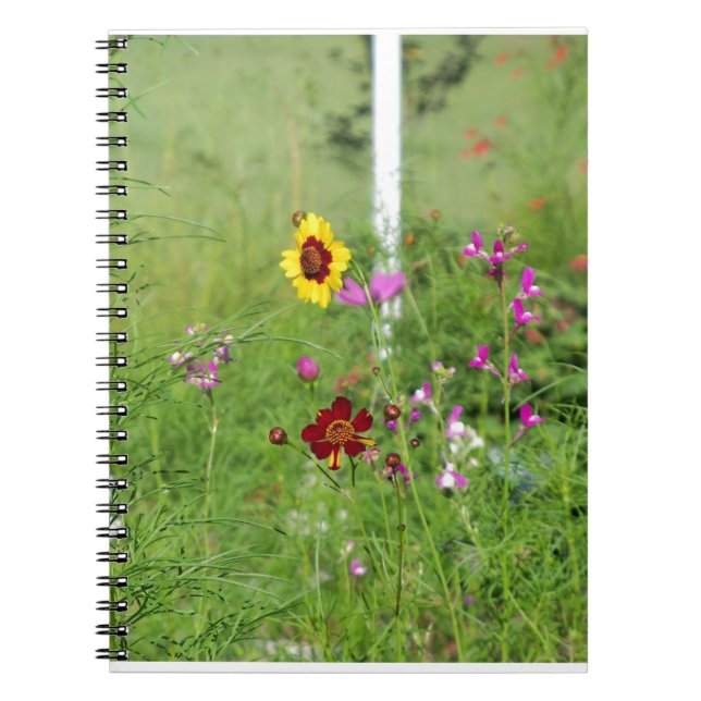 Carnet Jardin fleur sauvage (Devant)