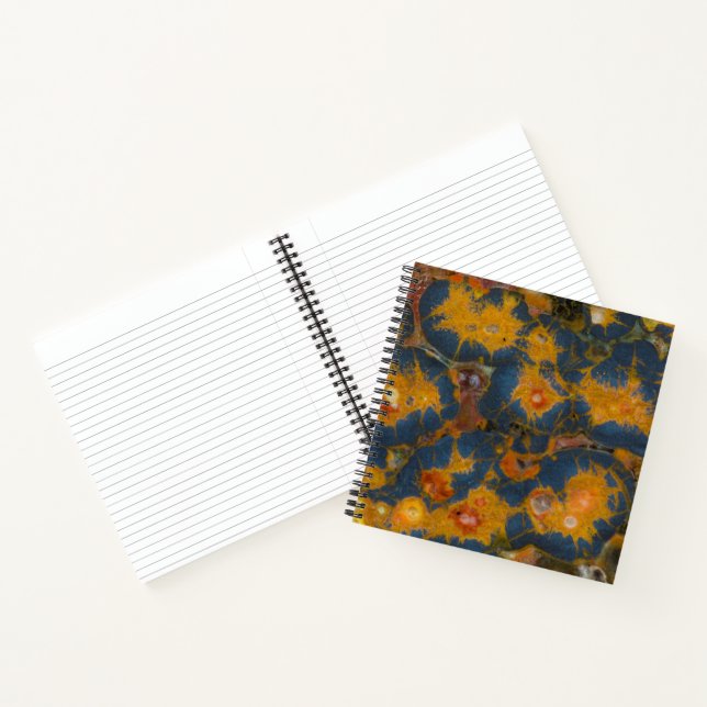 Carnet Jasper coquelicot (Intérieur)