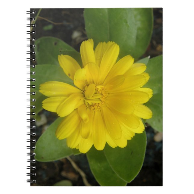 Carnet jaune vif Marigold (Devant)