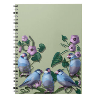 Carnet Java sparrows