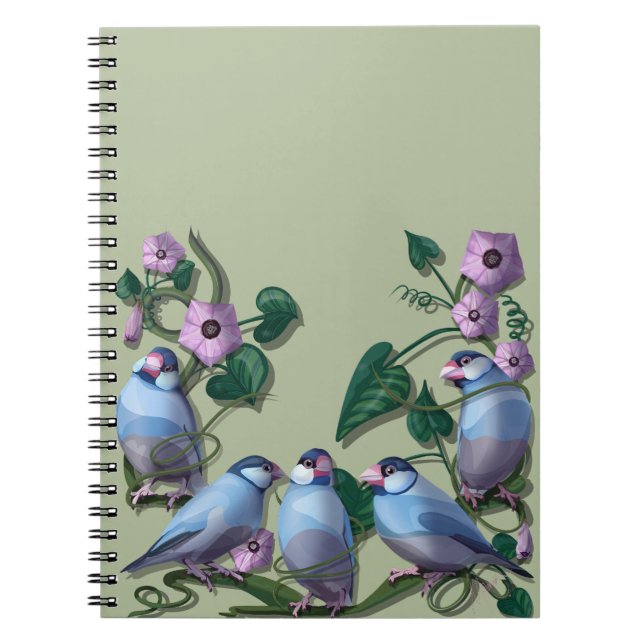 Carnet Java sparrows  (Devant)