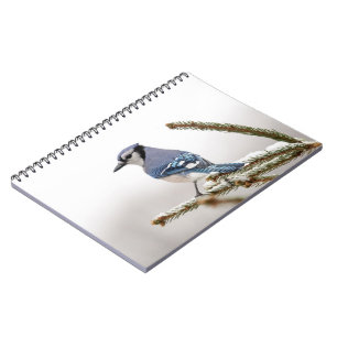 Carnet Jay bleu en hiver
