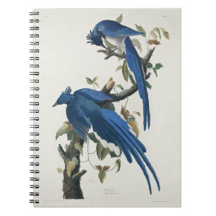 Carnet Jay noir à pâte molle à tarte noire Audubon Columb