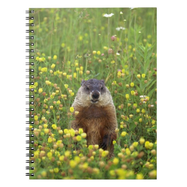 Carnet Je suis Groundhog (Devant)