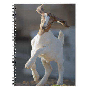 Carnet Jeu de chèvre d'enfant