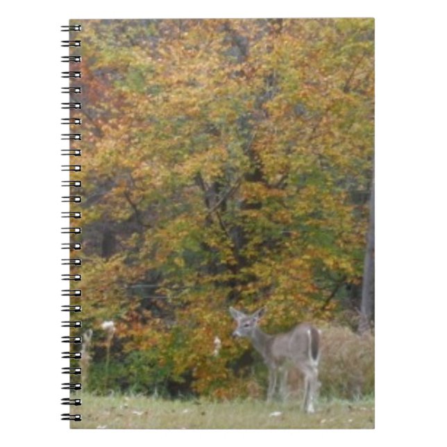 Carnet Jeune bambin cerf aux arbres à automne. (Devant)