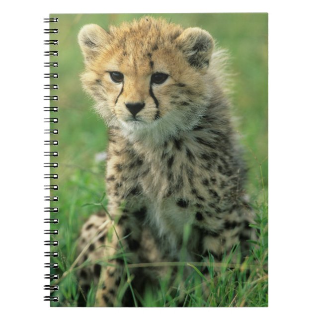 Carnet Jeune guépard flou (Devant)
