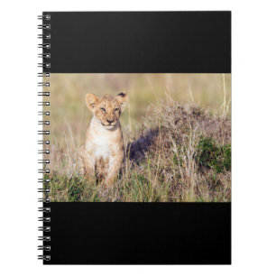 Carnet Jeune lion