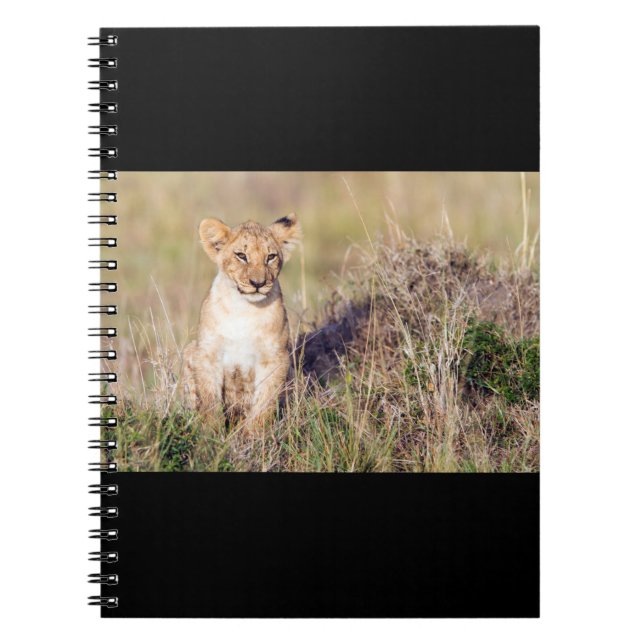 Carnet Jeune lion (Devant)