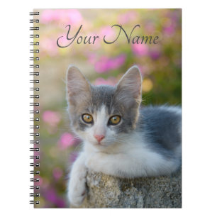 Carnet Jeunes fleurs bicolores mignonnes de rose de