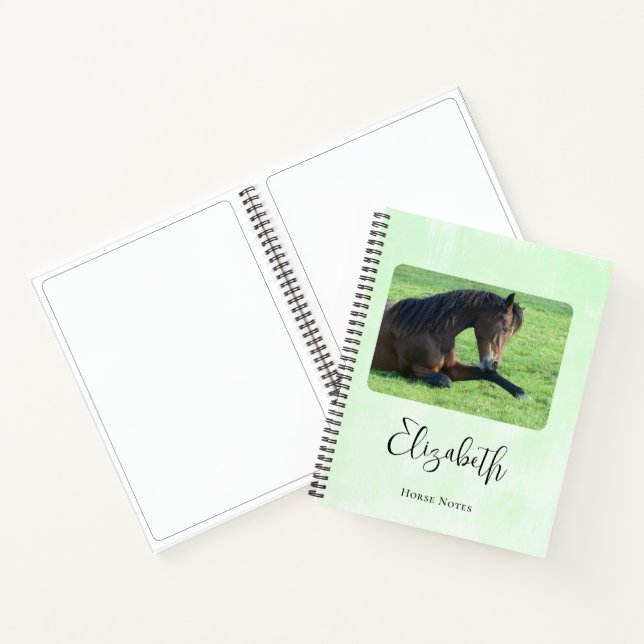 Carnet Joli Cheval Brown allongé dans l'herbe (Intérieur)