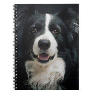 Carnet Joli chien